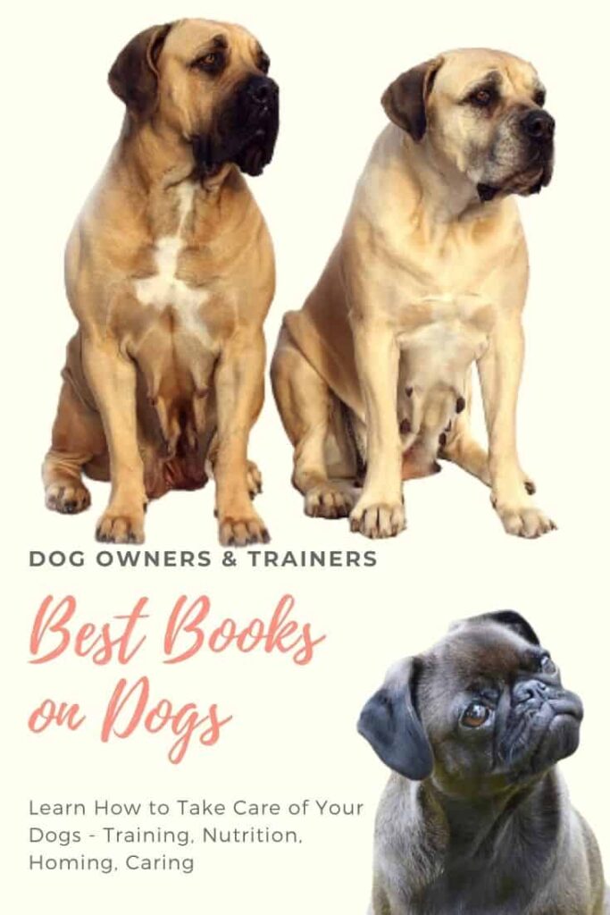 10 Best Books On Dogs