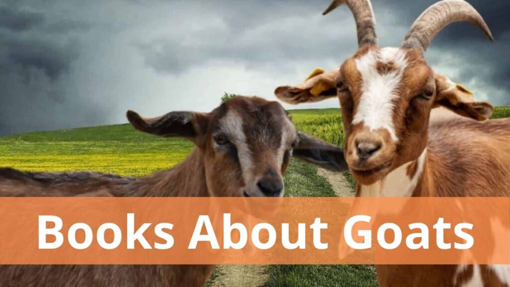 Best Books About Goats