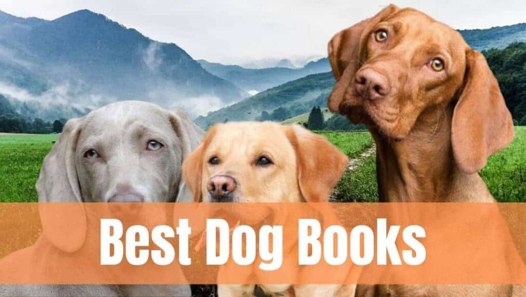 10 best books on dogs