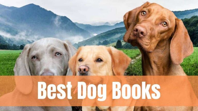 10 Best Books On Dogs You Should Read in 2022