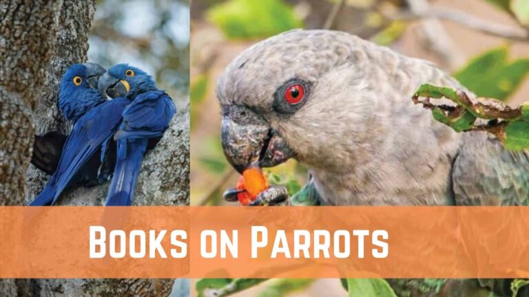10 Best Books on Parrots for Bird Lovers