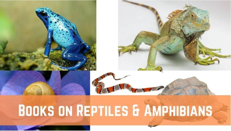 10 Best Books on Reptiles and Amphibians (2021)