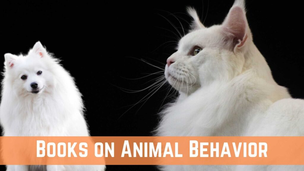 Best Books On Animal Behavior (Ethology) To Read