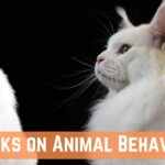 Best Books On Animal Behavior (Ethology) To Read