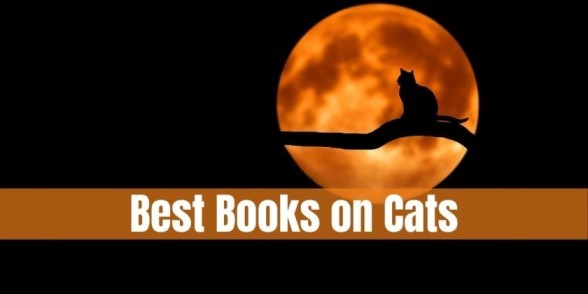 Best Books for Cat Lovers – My All Time Favorite