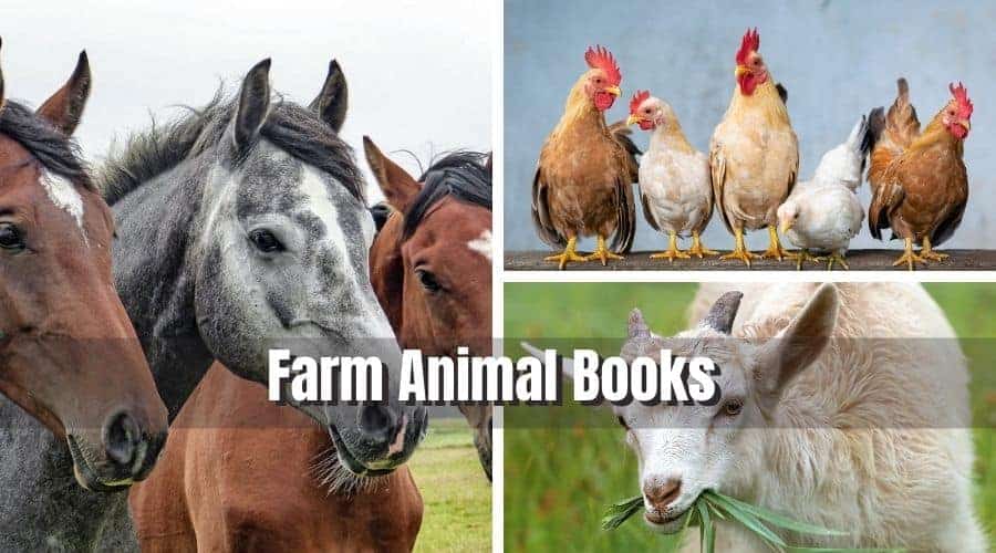 Books on Farm Animals for Kids to Make Them an Avid Reader