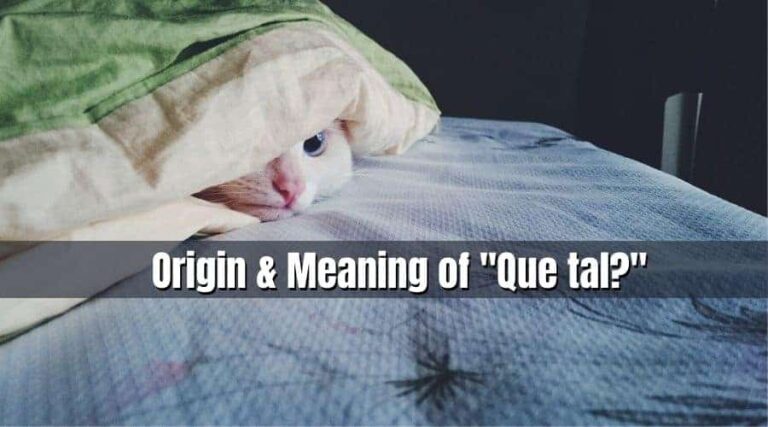 Origin and Meaning of the Spanish Phrase “Que tal?” in English