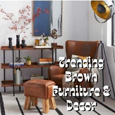 Trending Brown Furniture & Decor