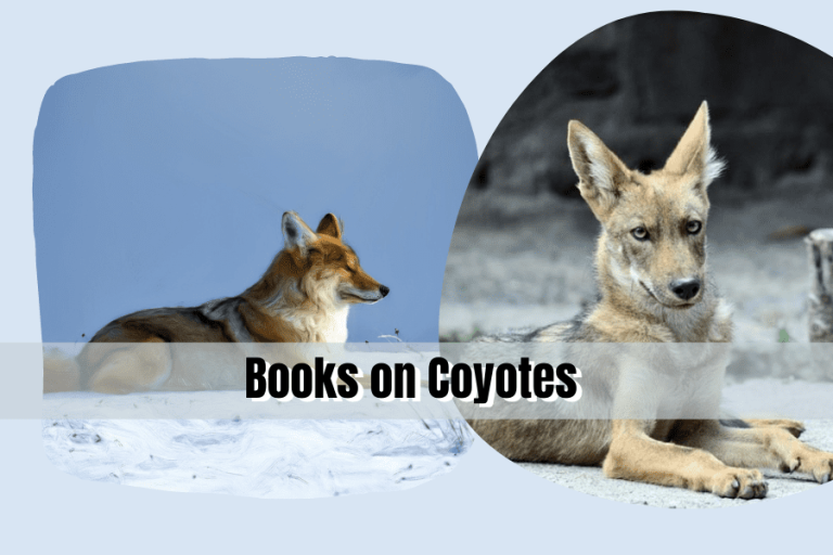 19 Books on Coyotes You’ll Love