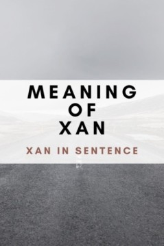The Origin and Meaning of the Word 'Xan' - What xan means