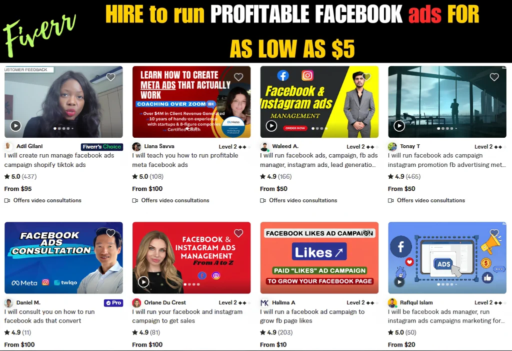 hire from fiverr to run profitable facebook ads for as low as $5